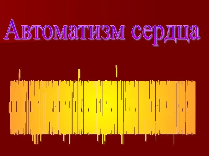 Автоматизм сердца - способность сердца ритмически сокращаться без внешних раздражений под