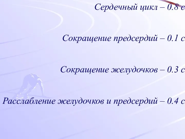 Сердечный цикл – 0.8 с Сокращение предсердий – 0.1 с Сокращение