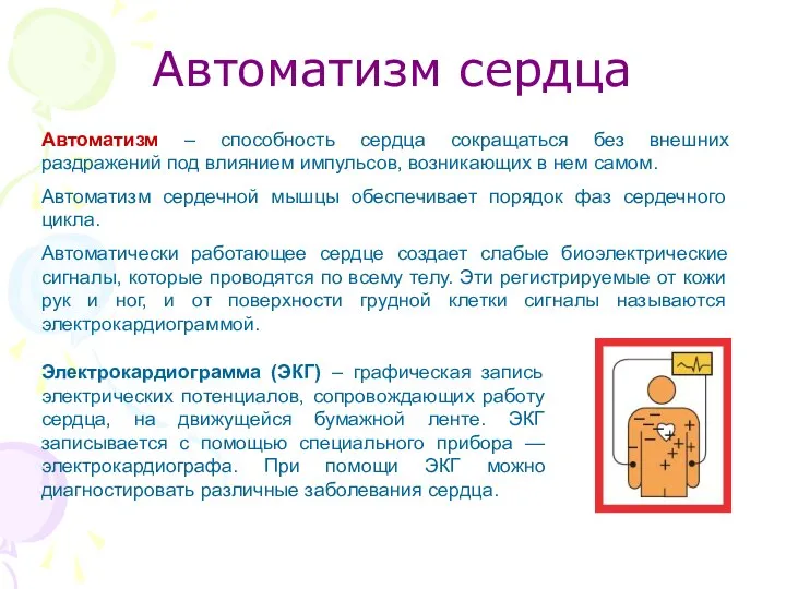 Автоматизм сердца Автоматизм – способность сердца сокращаться без внешних раздражений под