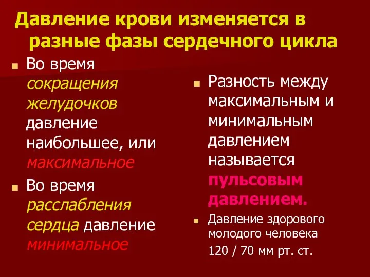 Давление крови изменяется в разные фазы сердечного цикла Во время сокращения