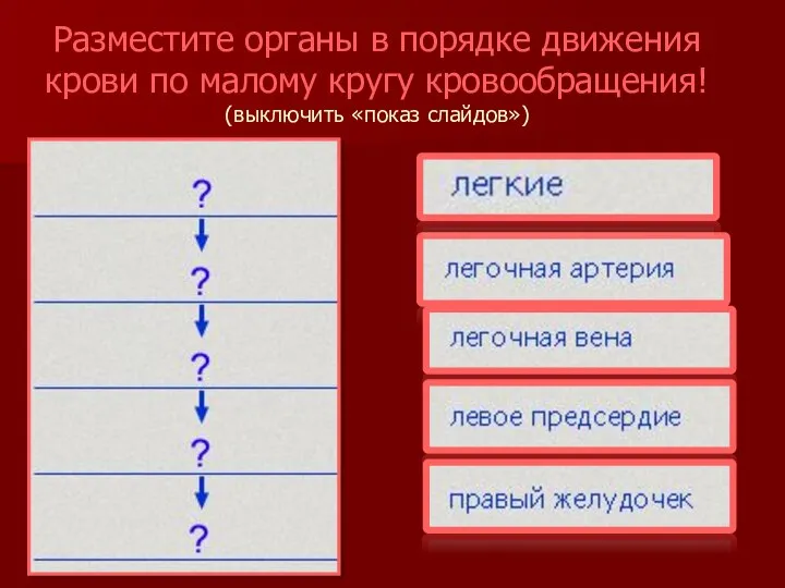 Разместите органы в порядке движения крови по малому кругу кровообращения! (выключить «показ слайдов»)