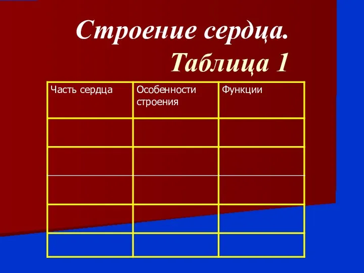 Строение сердца. Таблица 1