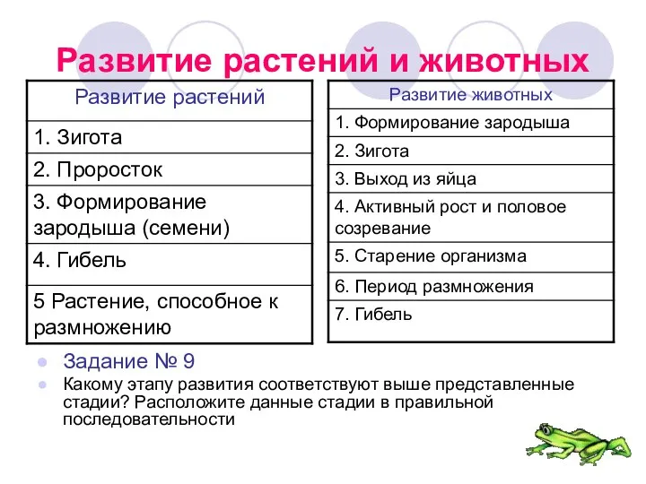 Развитие растений и животных Задание № 9 Какому этапу развития соответствуют