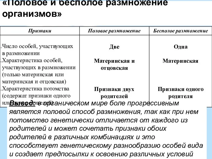 «Половое и бесполое размножение организмов» Вывод: в органическом мире боле прогрессивным