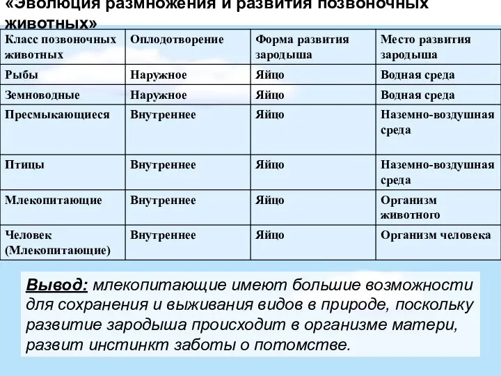 «Эволюция размножения и развития позвоночных животных» Вывод: млекопитающие имеют большие возможности