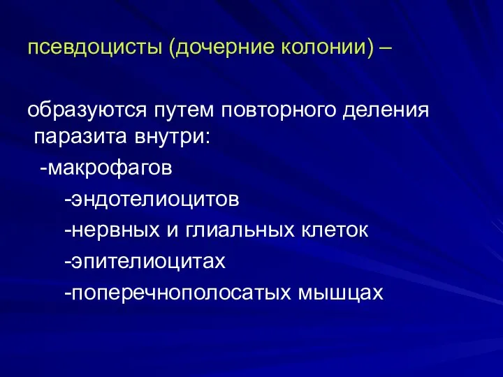 псевдоцисты (дочерние колонии) – образуются путем повторного деления паразита внутри: -макрофагов