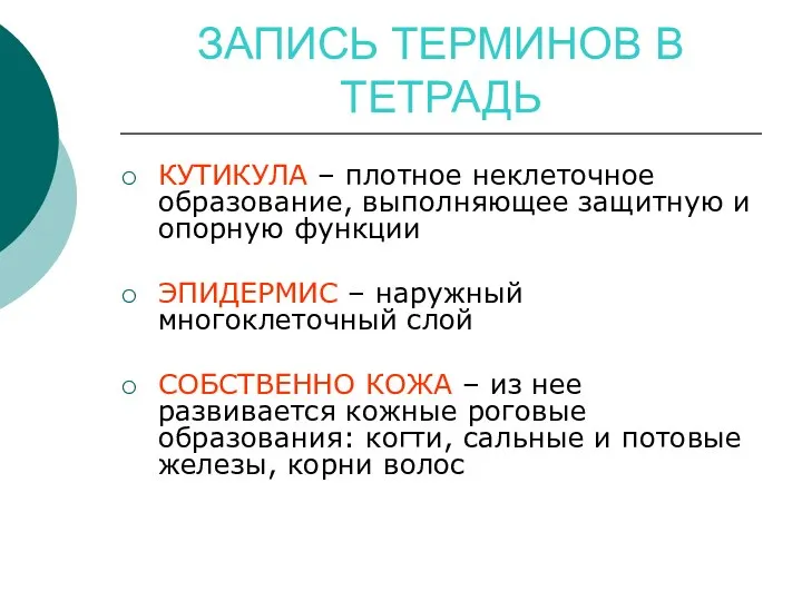 ЗАПИСЬ ТЕРМИНОВ В ТЕТРАДЬ КУТИКУЛА – плотное неклеточное образование, выполняющее защитную