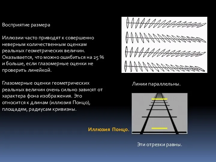 Восприятие размера Иллюзии часто приводят к совершенно неверным количественным оценкам реальных