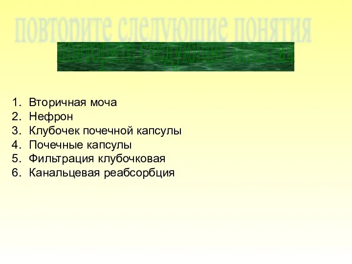 Вторичная моча Нефрон Клубочек почечной капсулы Почечные капсулы Фильтрация клубочковая Канальцевая реабсорбция повторите следующие понятия