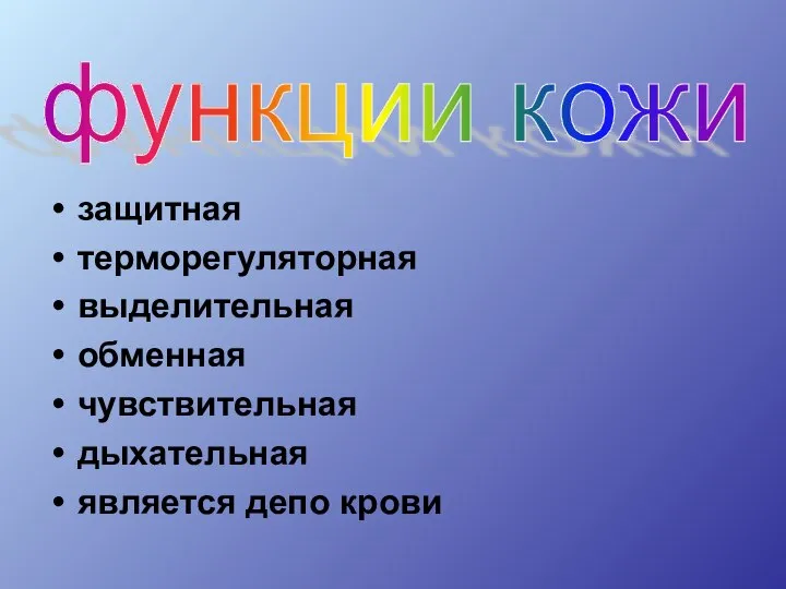 защитная терморегуляторная выделительная обменная чувствительная дыхательная является депо крови функции кожи