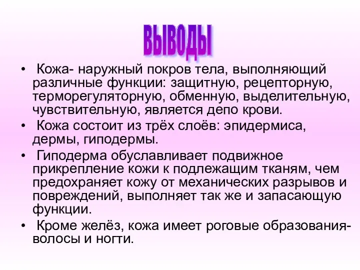 Кожа- наружный покров тела, выполняющий различные функции: защитную, рецепторную, терморегуляторную, обменную,