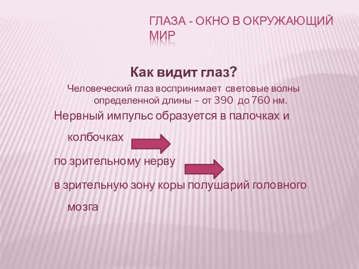 Как видит глаз? Человеческий глаз воспринимает световые волны определенной длины –