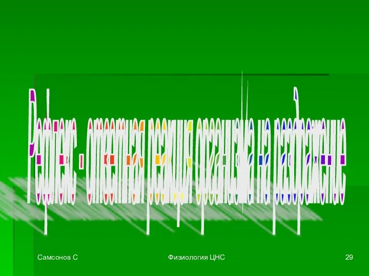 Самсонов С Физиология ЦНС Рефлекс - ответная реакция организма на раздражение