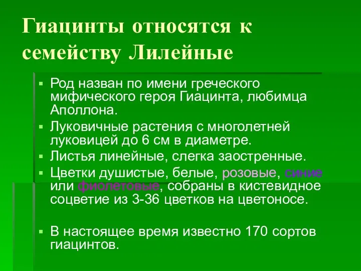 Гиацинты относятся к семейству Лилейные Род назван по имени греческого мифического