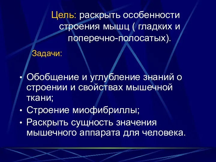 Обобщение и углубление знаний о строении и свойствах мышечной ткани; Строение