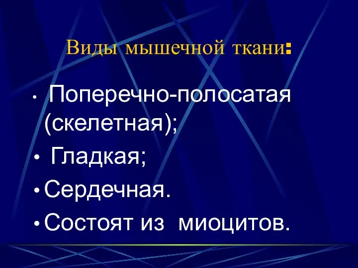 Виды мышечной ткани: Поперечно-полосатая (скелетная); Гладкая; Сердечная. Состоят из миоцитов.