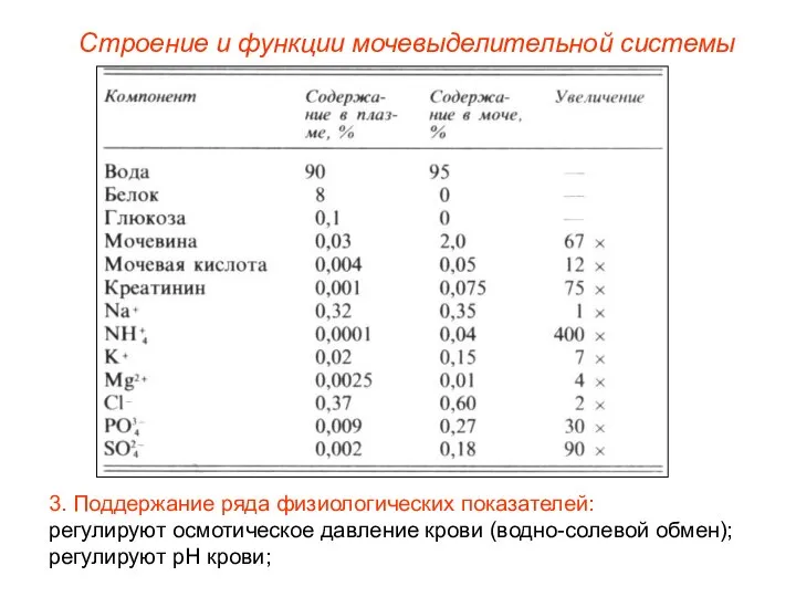 Строение и функции мочевыделительной системы 3. Поддержание ряда физиологических показателей: регулируют