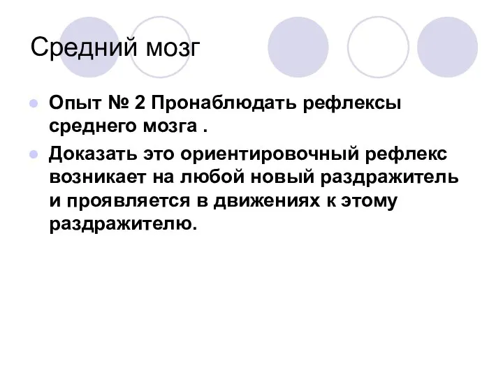 Средний мозг Опыт № 2 Пронаблюдать рефлексы среднего мозга . Доказать