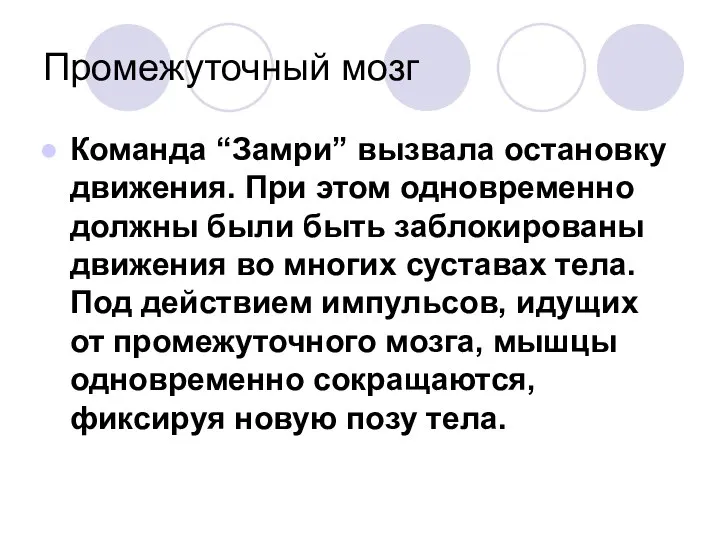 Промежуточный мозг Команда “Замри” вызвала остановку движения. При этом одновременно должны