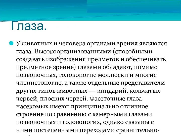 Глаза. У животных и человека органами зрения являются глаза. Высокоорганизованными (способными