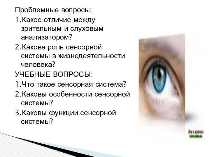 Проблемные вопросы: 1.Какое отличие между зрительным и слуховым анализатором? 2.Какова роль