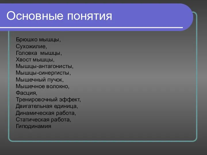 Основные понятия Брюшко мышцы, Сухожилие, Головка мышцы, Хвост мышцы, Мышцы-антагонисты, Мышцы-синергисты,