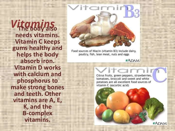 Vitamins The body also needs vitamins. Vitamin C keeps gums healthy