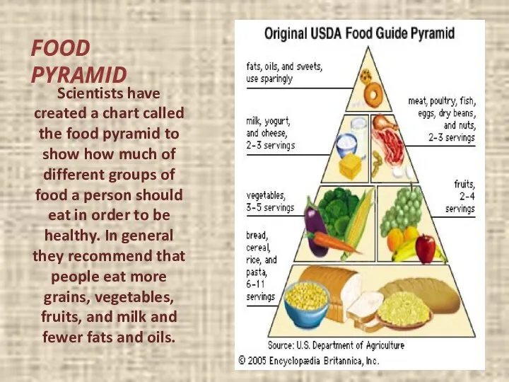FOOD PYRAMID Scientists have created a chart called the food pyramid