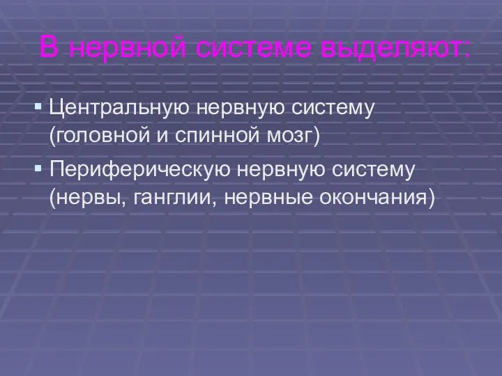 В нервной системе выделяют: Центральную нервную систему (головной и спинной мозг)