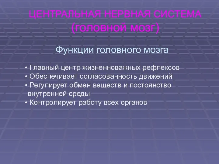 ЦЕНТРАЛЬНАЯ НЕРВНАЯ СИСТЕМА (головной мозг) Функции головного мозга Главный центр жизненноважных