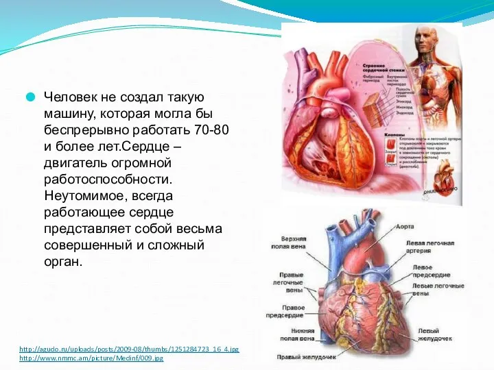 http://agudo.ru/uploads/posts/2009-08/thumbs/1251284723_16_4.jpg http://www.nmmc.am/picture/Medinf/009.jpg Человек не создал такую машину, которая могла бы беспрерывно