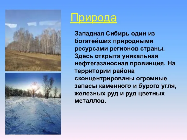 Природа Западная Сибирь один из богатейших природными ресурсами регионов страны. Здесь