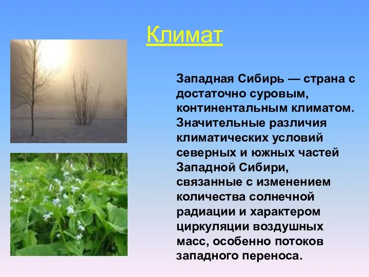 Климат . Западная Сибирь — страна с достаточно суровым, континентальным климатом.