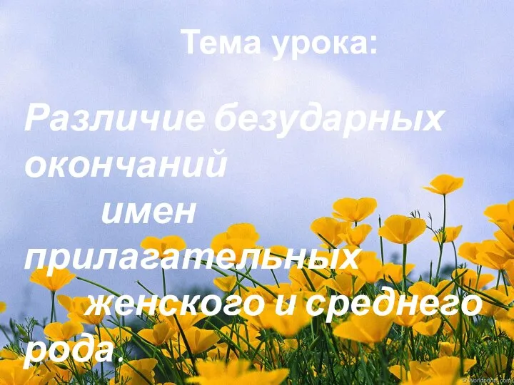 Тема урока: Различие безударных окончаний имен прилагательных женского и среднего рода.