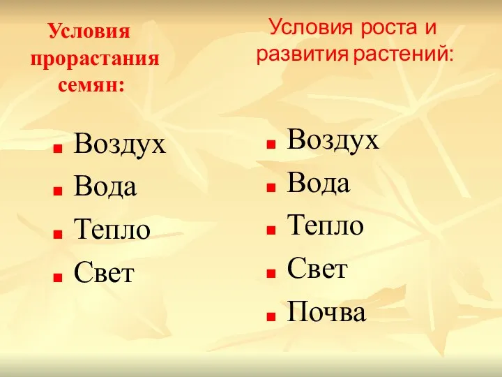 Условия прорастания семян: Воздух Вода Тепло Свет Воздух Вода Тепло Свет