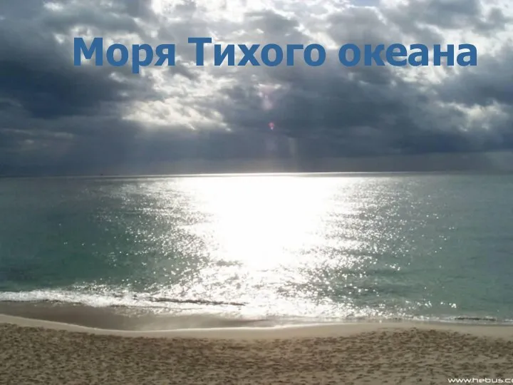 Моря Тихого океана