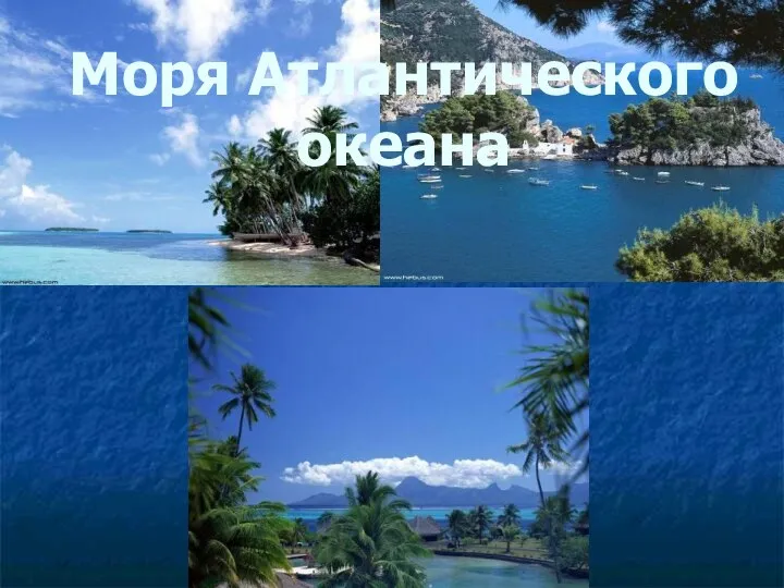 Моря Атлантического океана