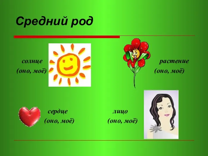 Средний род солнце (оно, моё) сердце (оно, моё) лицо (оно, моё) растение (оно, моё)
