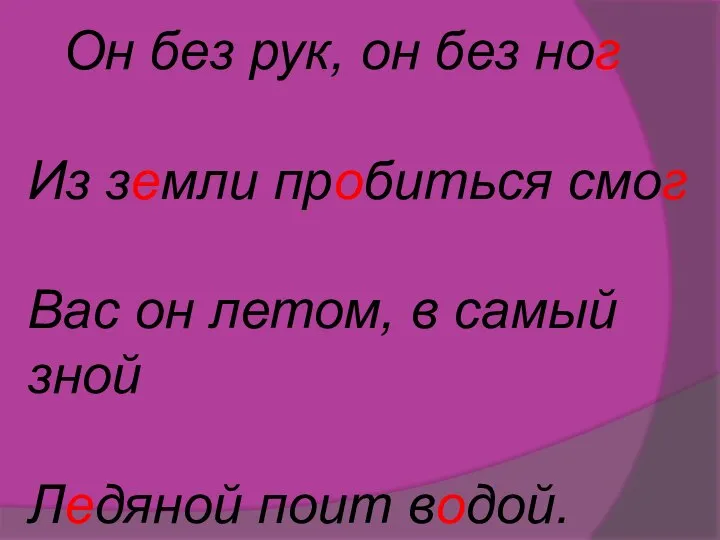 Он без рук, он без ног Из земли пробиться смог Вас