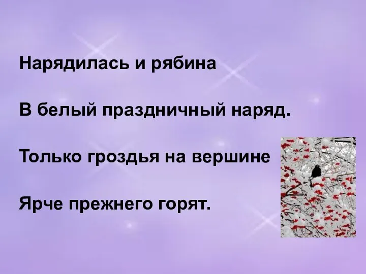 Нарядилась и рябина В белый праздничный наряд. Только гроздья на вершине Ярче прежнего горят.