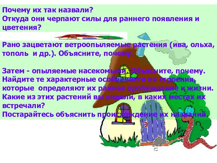 Почему их так назвали? Откуда они черпают силы для раннего появления