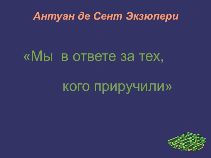 Антуан де Сент Экзюпери «Мы в ответе за тех, кого приручили»