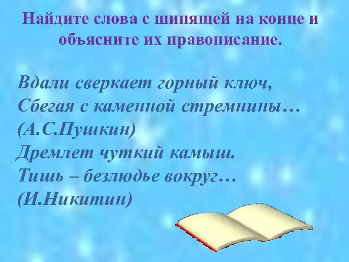 Найдите слова с шипящей на конце и объясните их правописание. Вдали