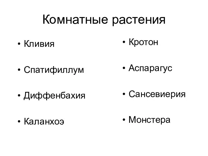 Комнатные растения Кливия Спатифиллум Диффенбахия Каланхоэ Кротон Аспарагус Сансевиерия Монстера