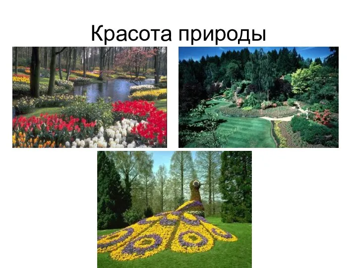 Красота природы