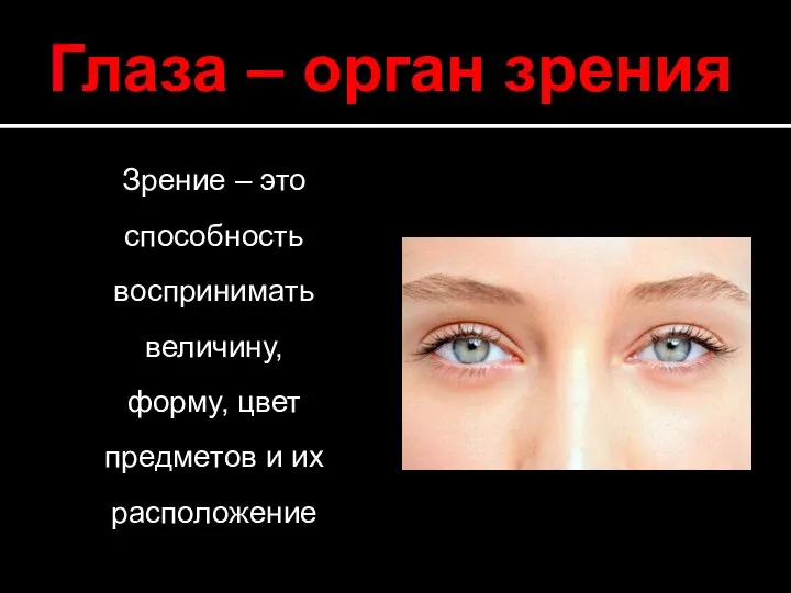 Глаза – орган зрения Зрение – это способность воспринимать величину, форму, цвет предметов и их расположение