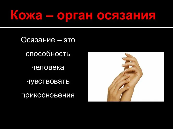 Кожа – орган осязания Осязание – это способность человека чувствовать прикосновения