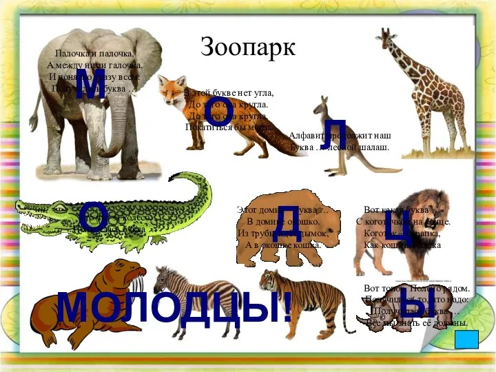 Зоопарк М О Л О Д Ц Ы МОЛОДЦЫ! Палочка и