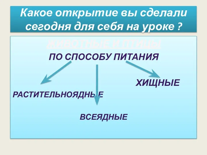 Какое открытие вы сделали сегодня для себя на уроке ? ЖИВОТНЫЕ