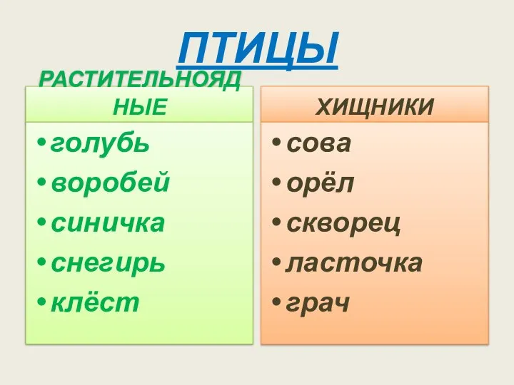 ПТИЦЫ РАСТИТЕЛЬНОЯДНЫЕ ХИЩНИКИ сова орёл скворец ласточка грач голубь воробей синичка снегирь клёст